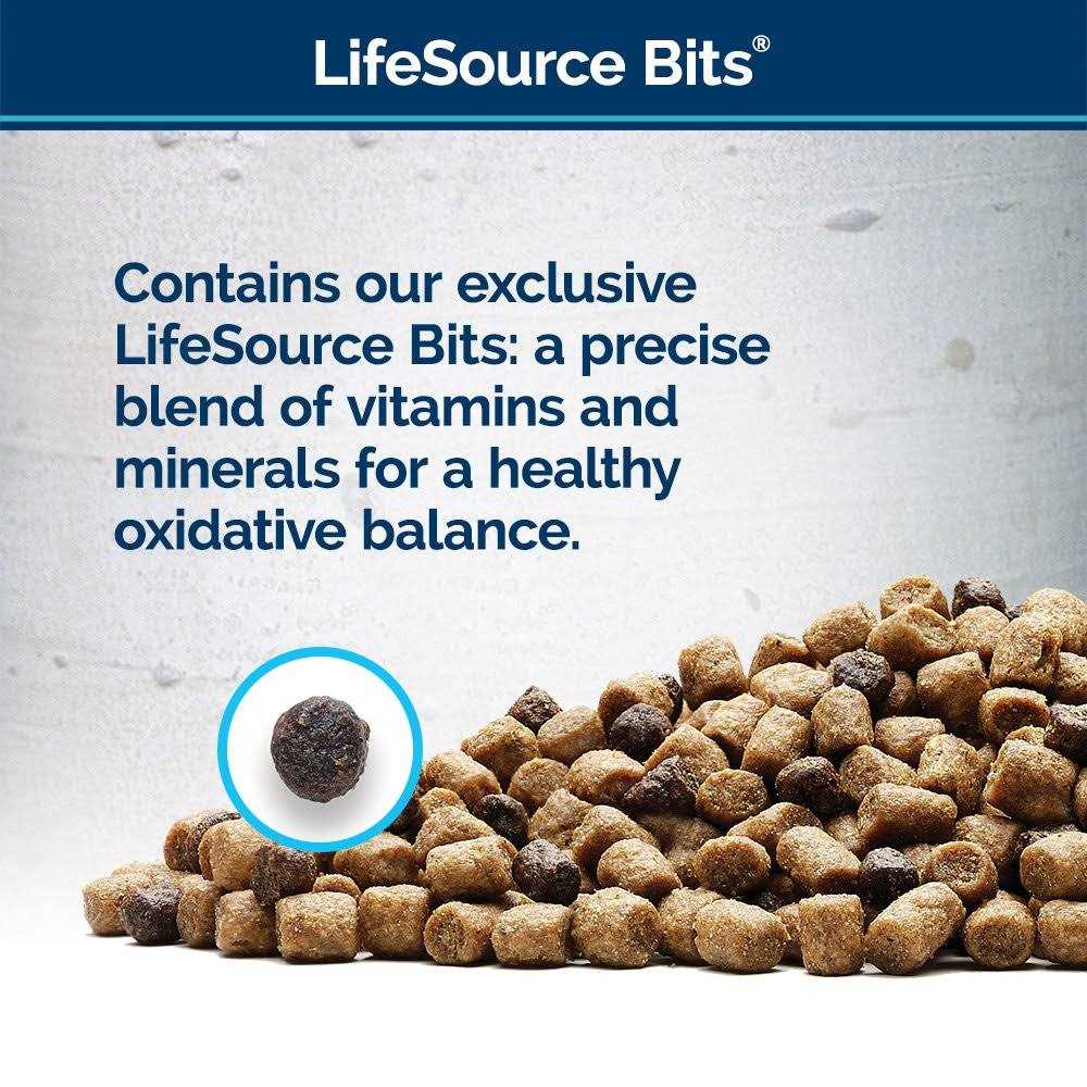 High Protein Dry Cat Food E13535